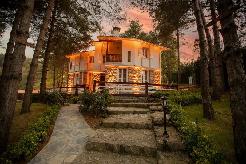 Genel Görünüm
