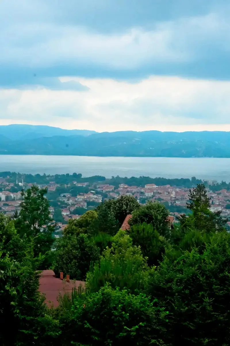 Genel Görünüm